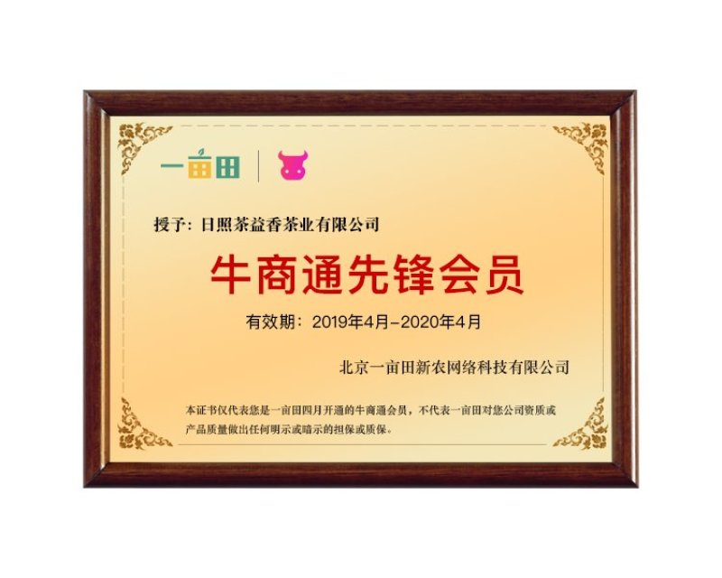 【喝好茶】2023新茶厂家批发正宗日照绿500g包邮尝鲜