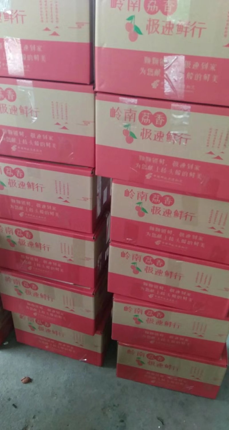 供应各种品种荔枝，白糖罂、妃子笑、克叶、白腊、波萝蜜、