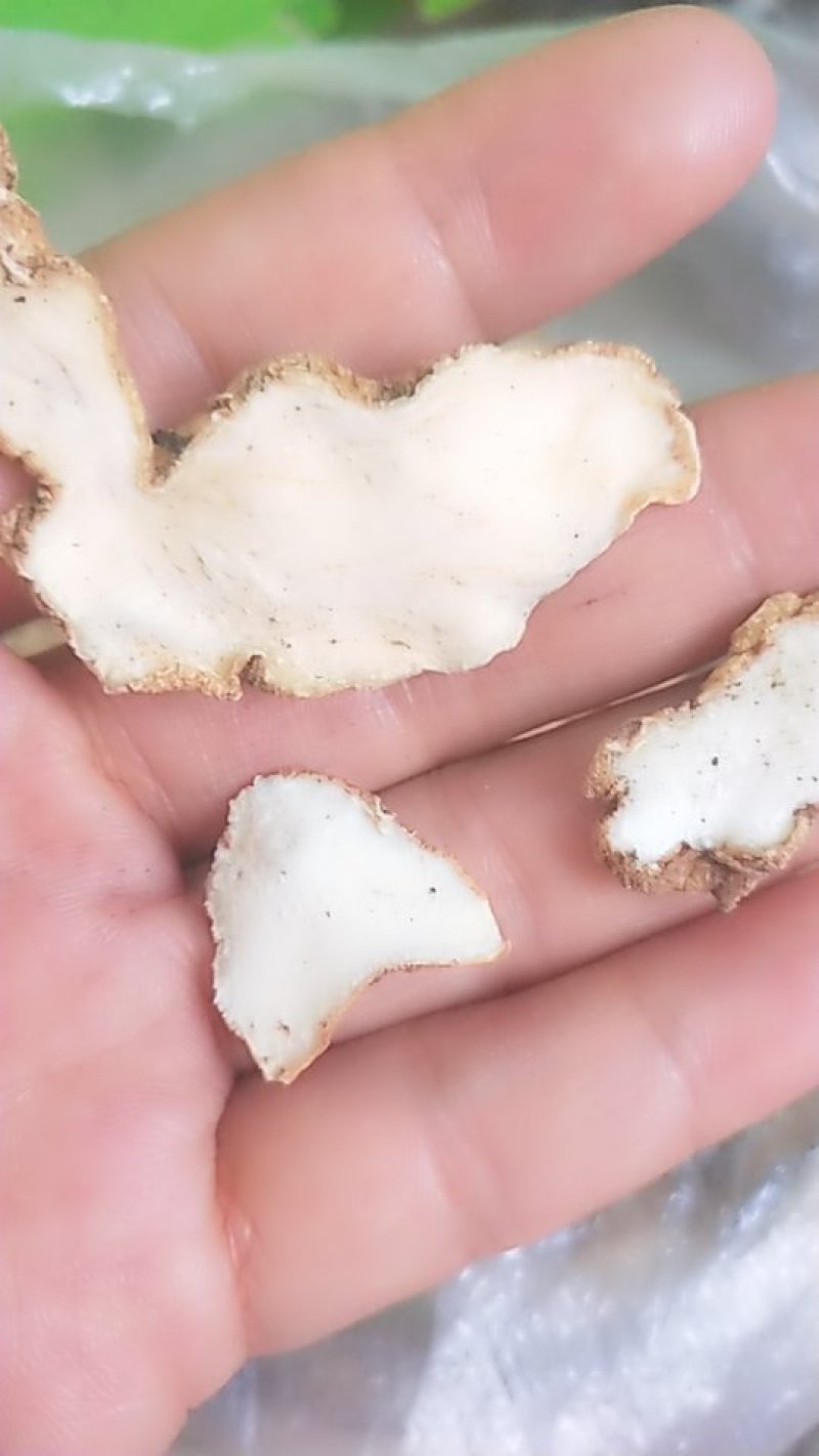 野生黄精干片