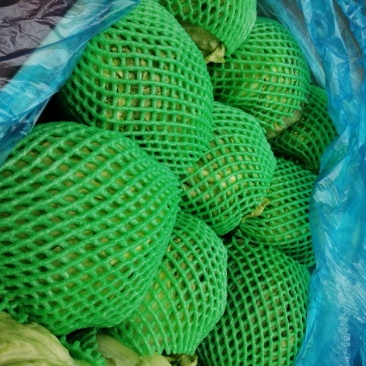 球生菜，好的，全都是精品～～