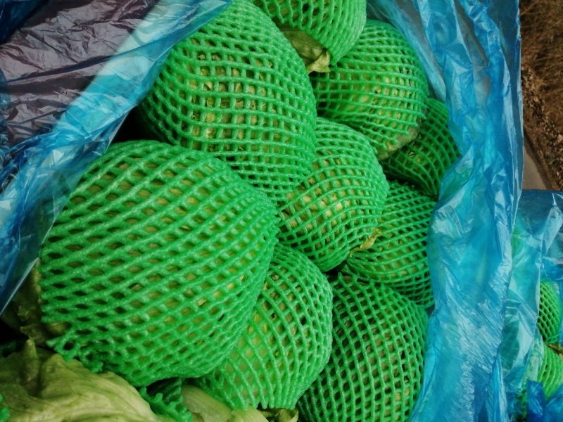 球生菜，好的，全都是精品～～