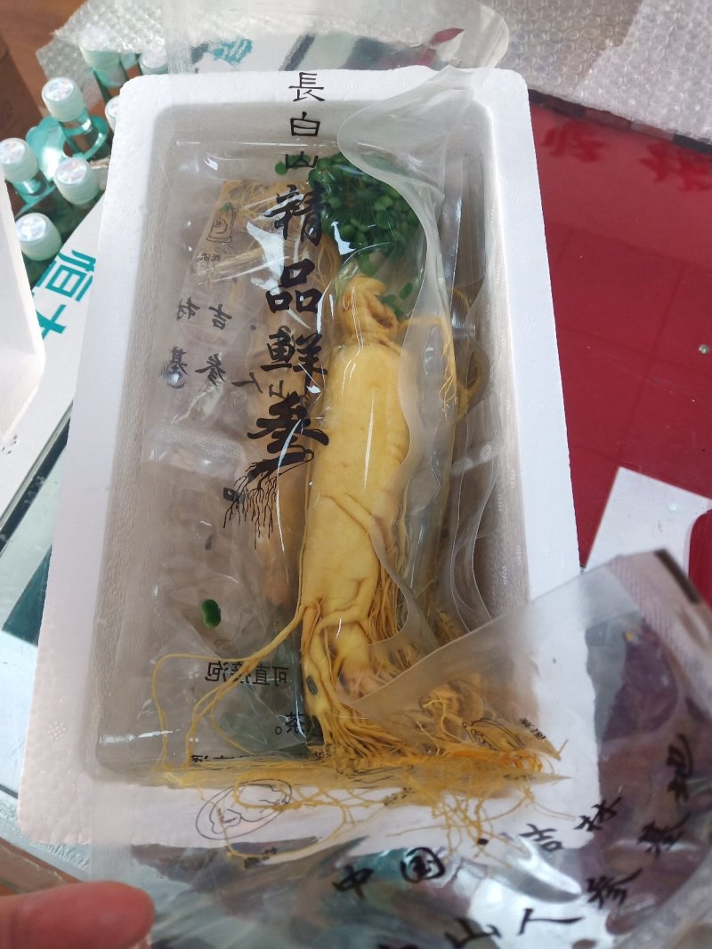 东北保鲜参大颗小颗