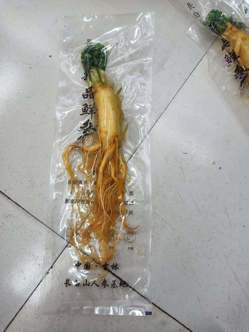 东北保鲜参大颗小颗
