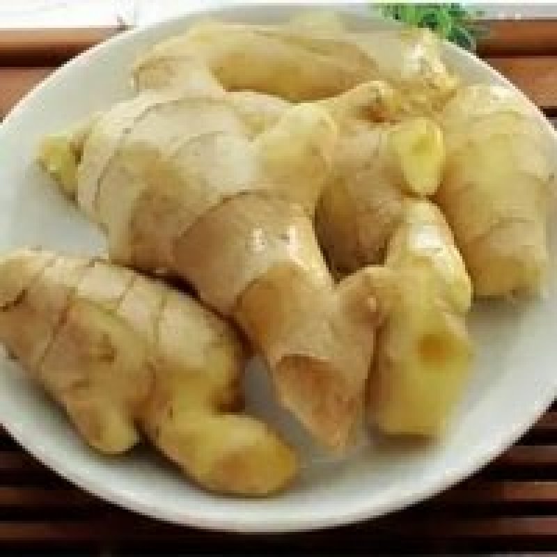 贵州安顺市普定县生姜