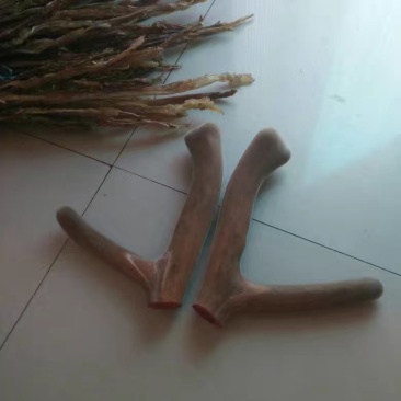 东北梅花鹿鹿茸整枝切片自产自销