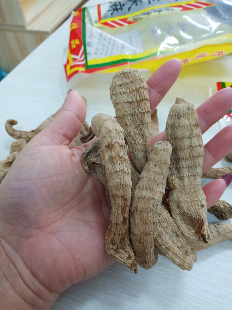 林下天麻长白山东北