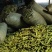 大白蚕豆，个大，饱满，十公分以上，现采现摘