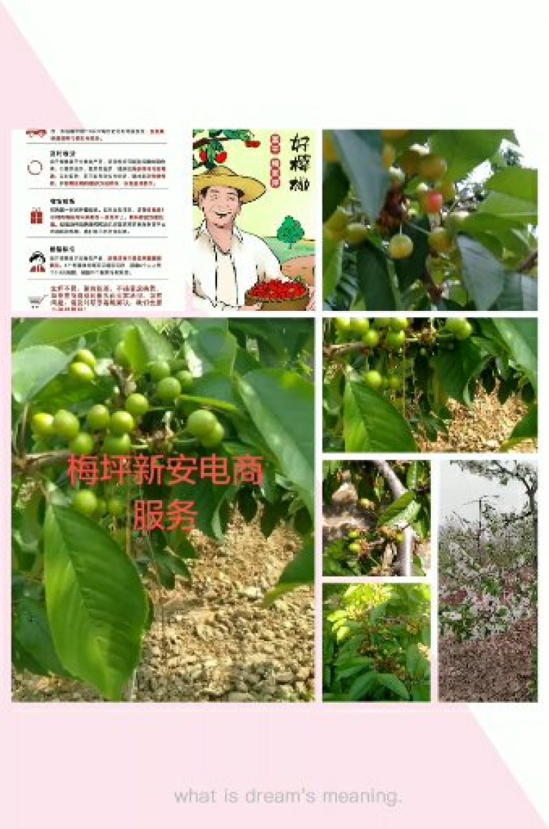 富平梅坪镇新安村电商服务