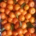沙糖桔