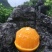 橙子，一件代发36元(5斤)