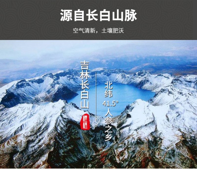 《包邮》长白山西洋参光支35---40头一斤