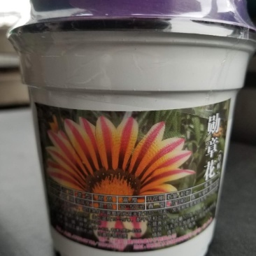 花草种子牛商推荐量大从优