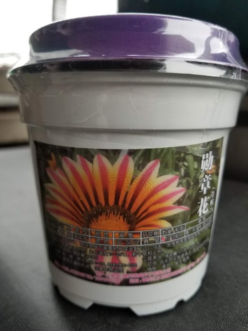 花草种子牛商推荐量大从优
