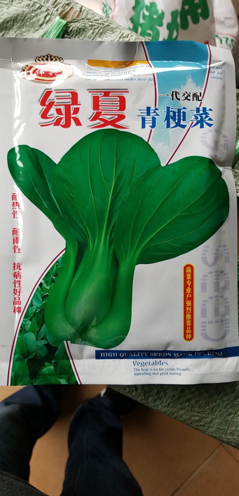 杂交抗热绿夏青梗菜种子