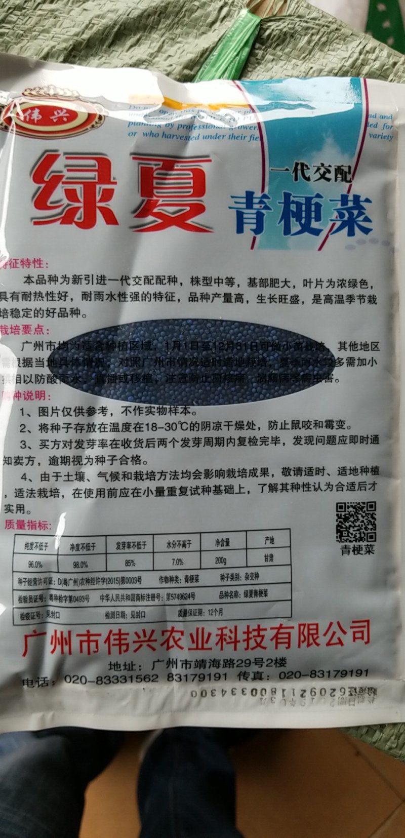杂交抗热绿夏青梗菜种子