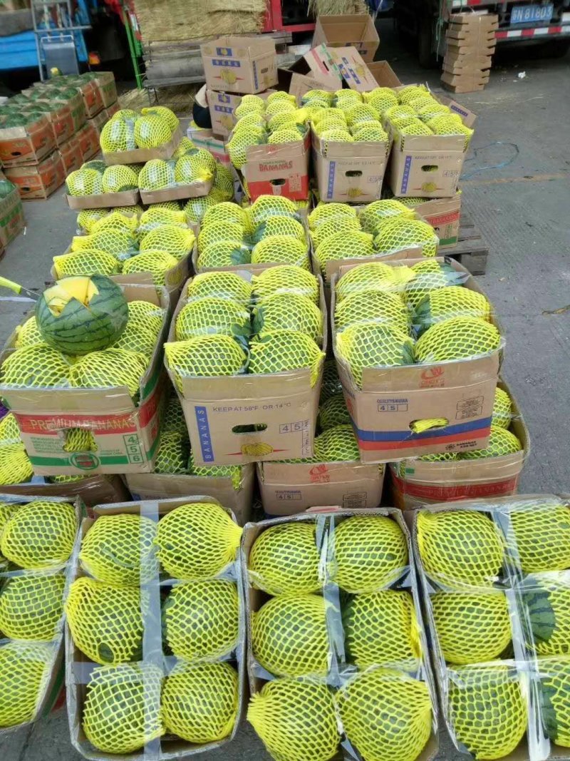 【精品】特小凤西瓜产地直销批发欢迎咨询采购！