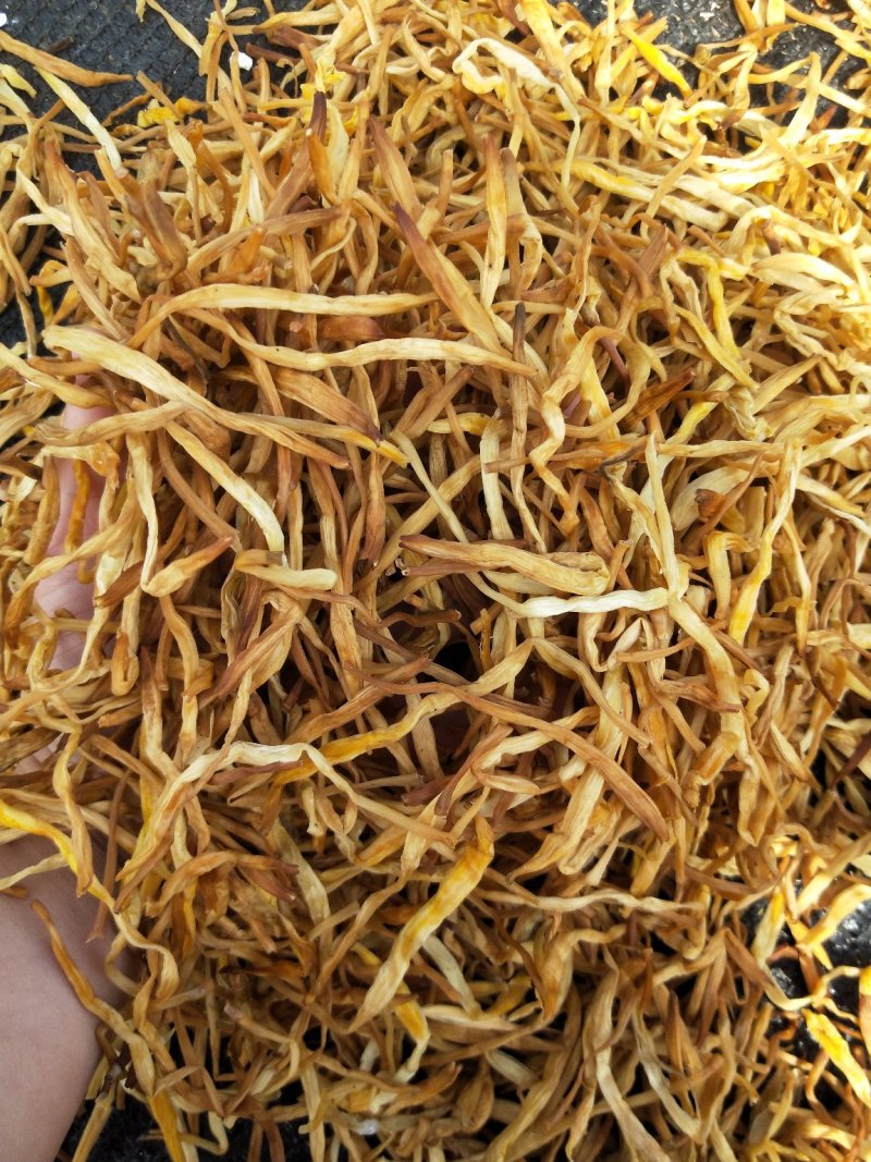 黄花菜，祁东黄条黄花菜，量大从优产地直销