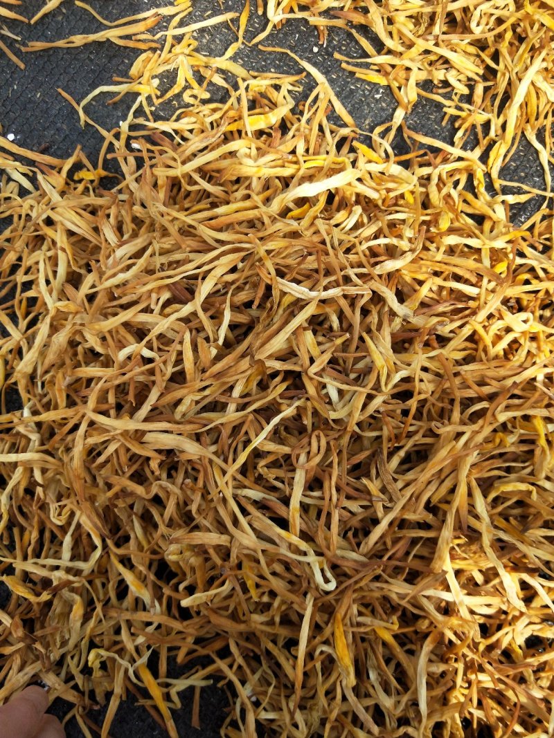 黄花菜，祁东黄条黄花菜，量大从优产地直销
