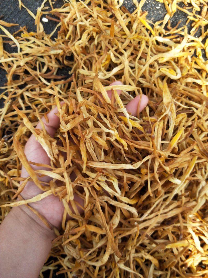 黄花菜，祁东黄条黄花菜，量大从优产地直销