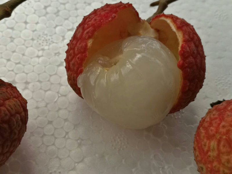 白糖罂荔枝上市中