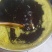 胡麻油