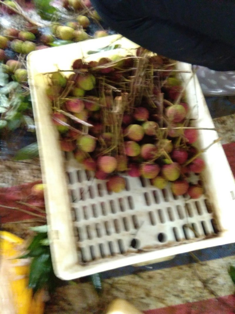 荔枝