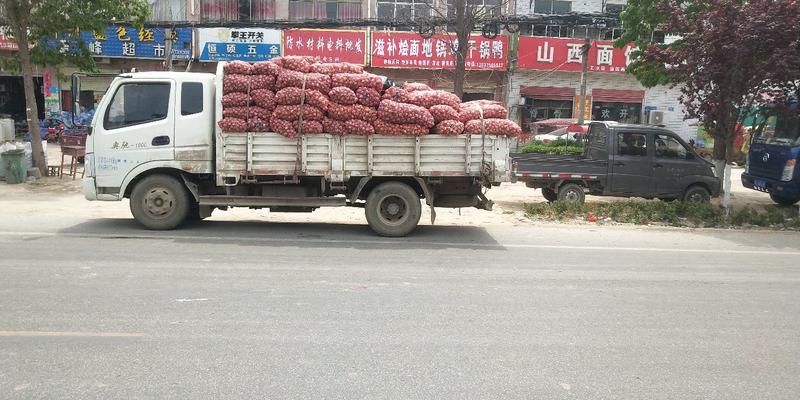 河南省优质混级蒜大量有货产地直供支持视频看货