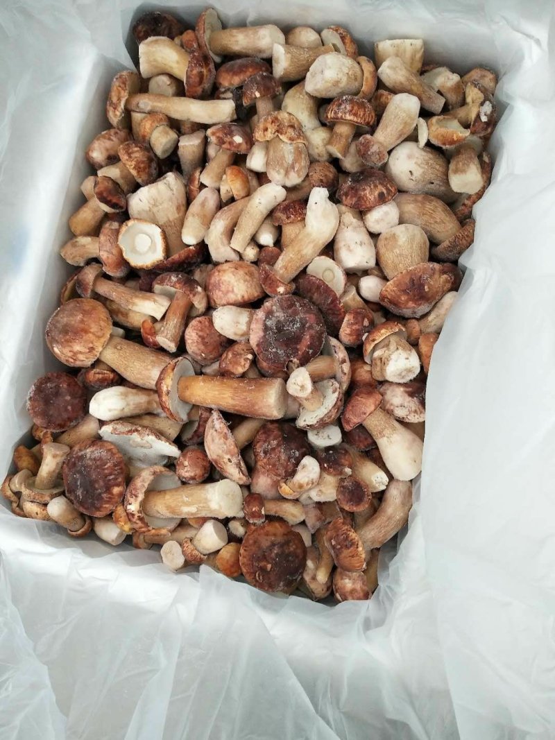 冷冻牛肝菌白牛肝美味牛肝