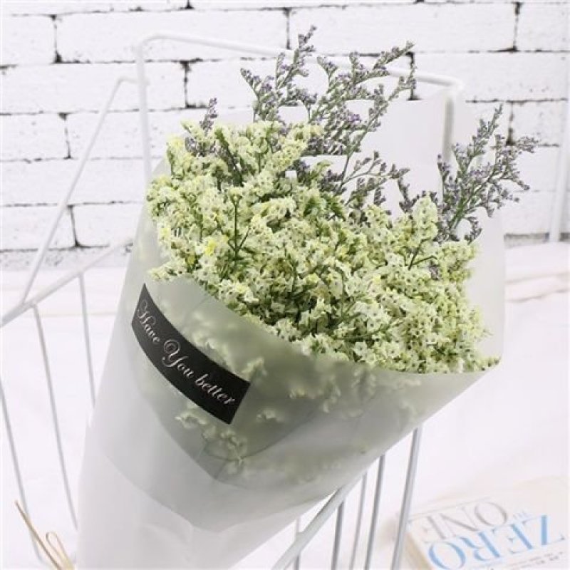 买一送一云南勿忘我干花花束真花永生花客厅摆设满天星鲜花干