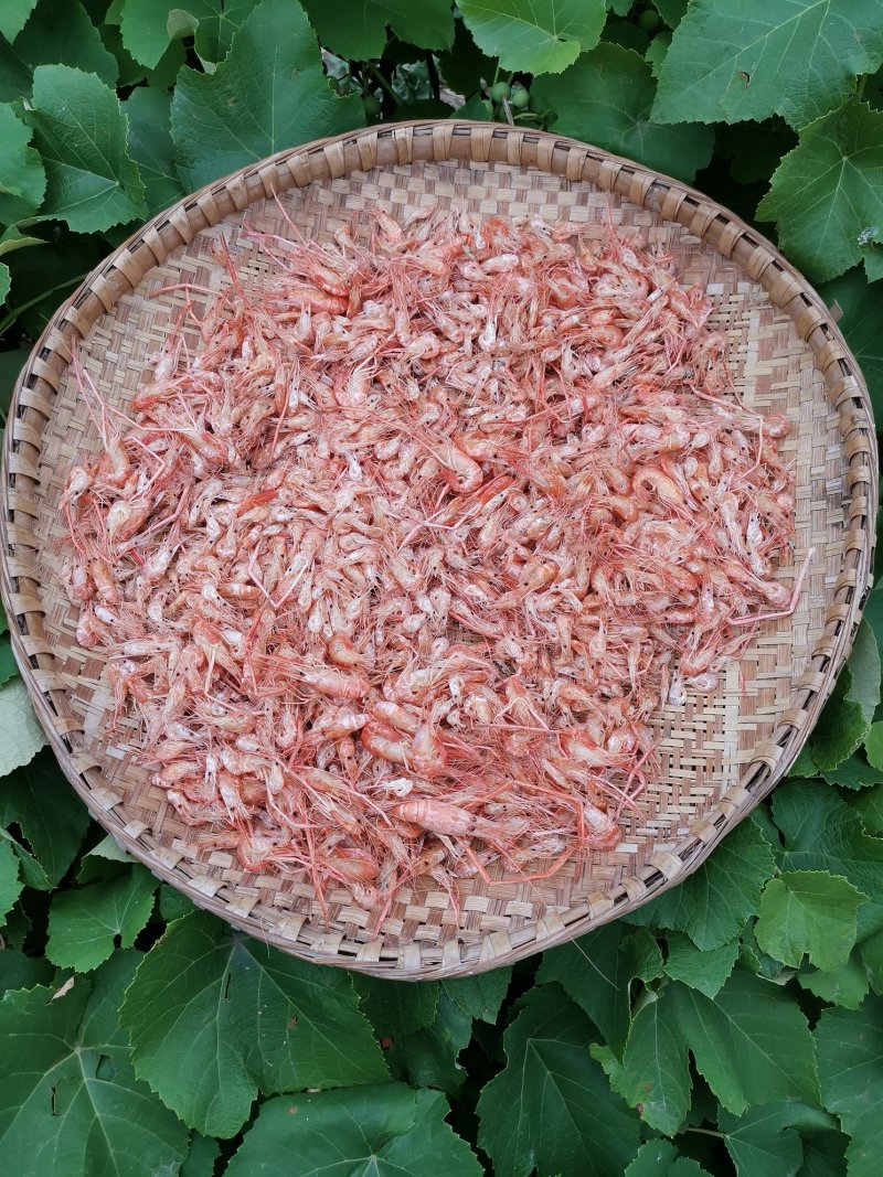 万峰湖野生河虾蒸熟风干虾开袋即食
