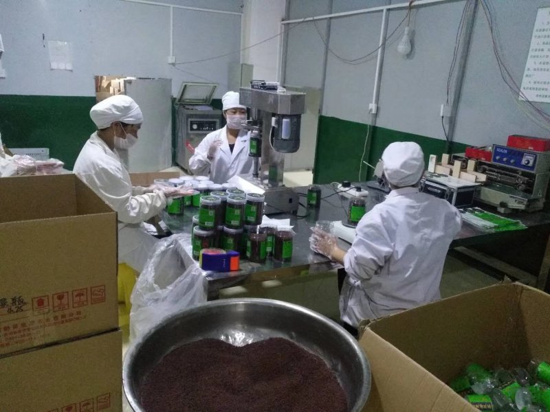 苦荞茶
