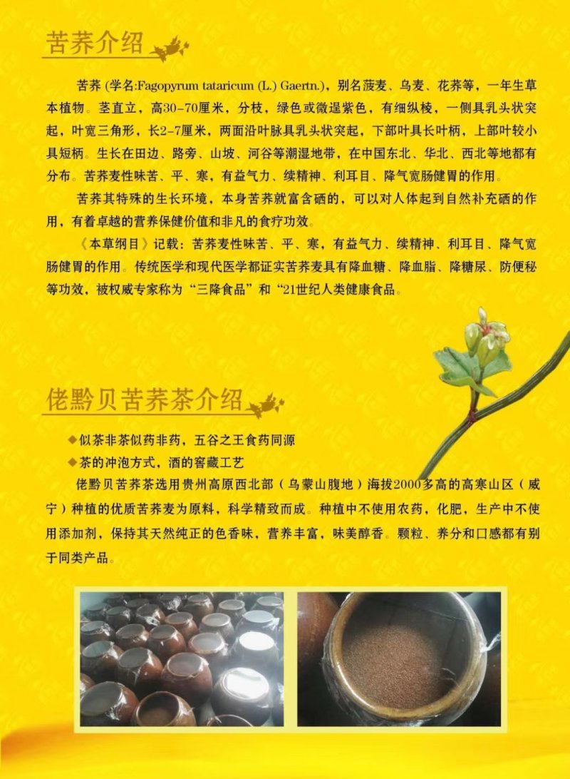 苦荞茶