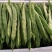 芸豆，四季豆代收各种精品寿光货，根茎类，茄果类，调味类。
