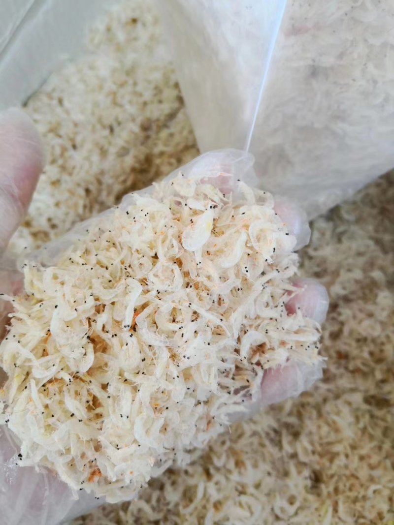 【支持一件代发】熟虾皮蛋炒虾皮