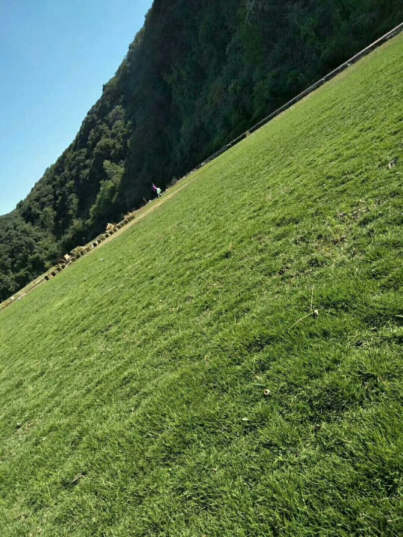 马尼拉