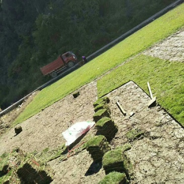 马尼拉