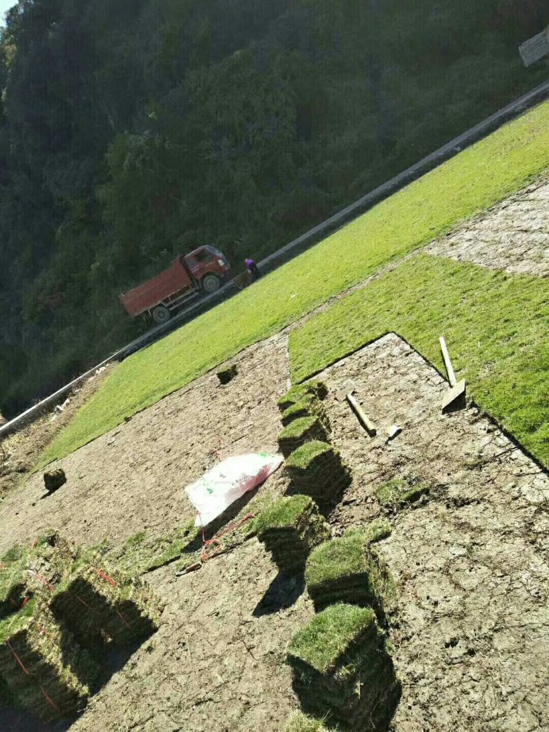 马尼拉