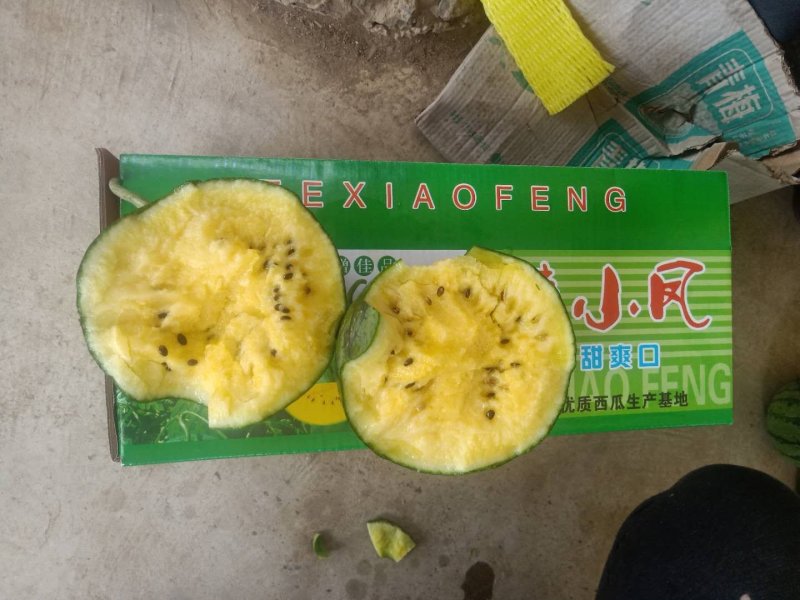 泗洪特小凤量大从优接单提供纸箱托盘标签现摘现发视频实地看货