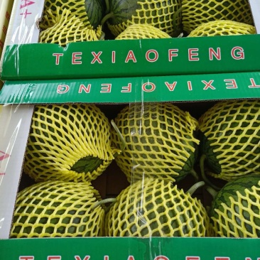 沭阳县特小凤西瓜绿皮黄壤卖相好承接批发市场小商贩量大优惠大