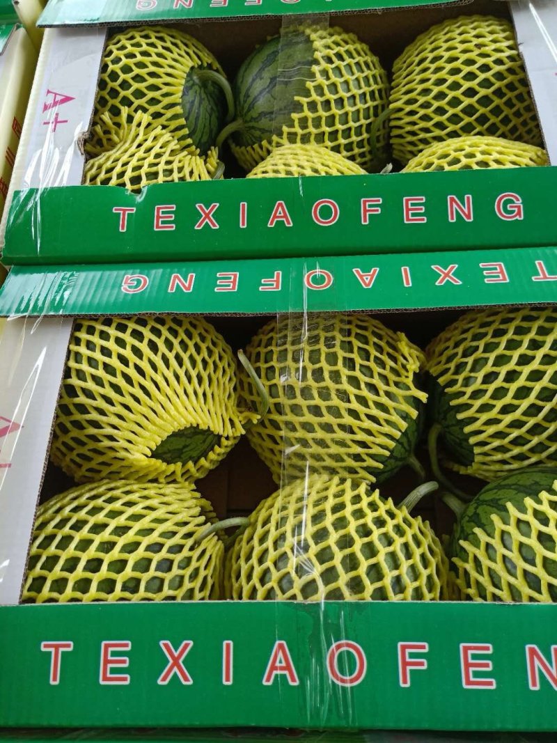 沭阳县特小凤西瓜绿皮黄壤卖相好承接批发市场小商贩量大优惠大