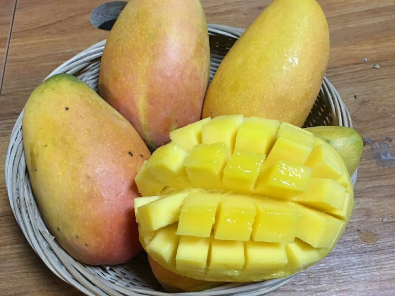 云南元江台农芒