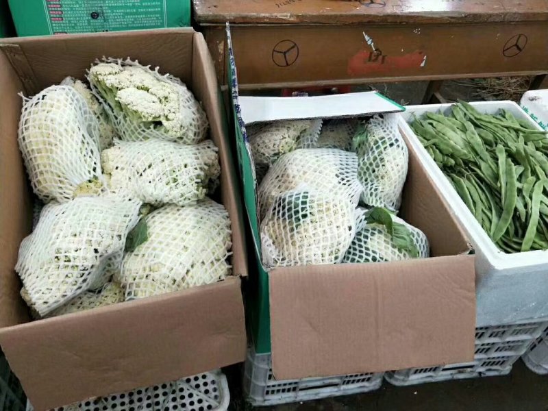 【花菜】河北有机菜花松花菜一手货源产地直发好货
