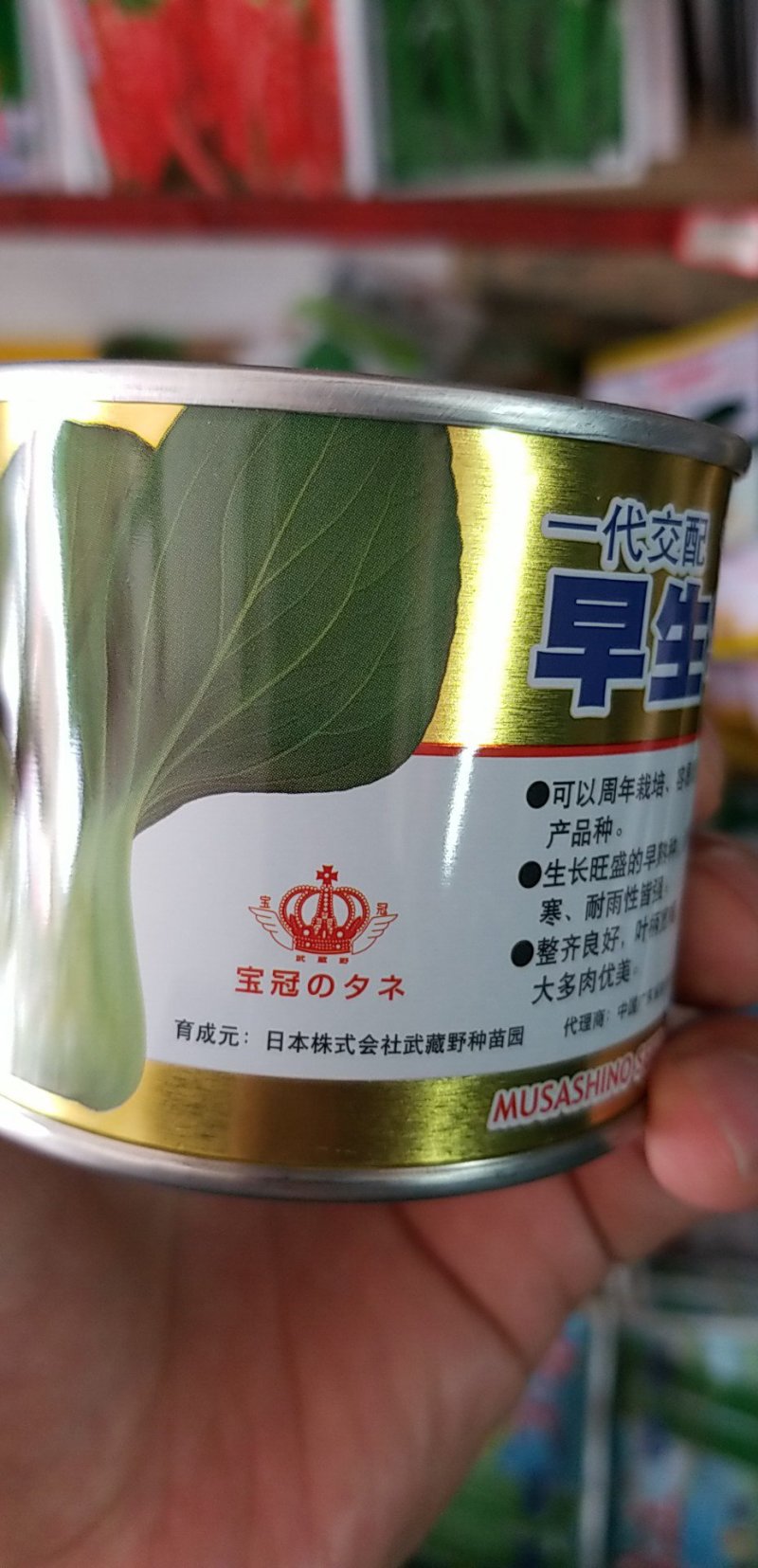 青梗菜种子牛商推荐量大从优