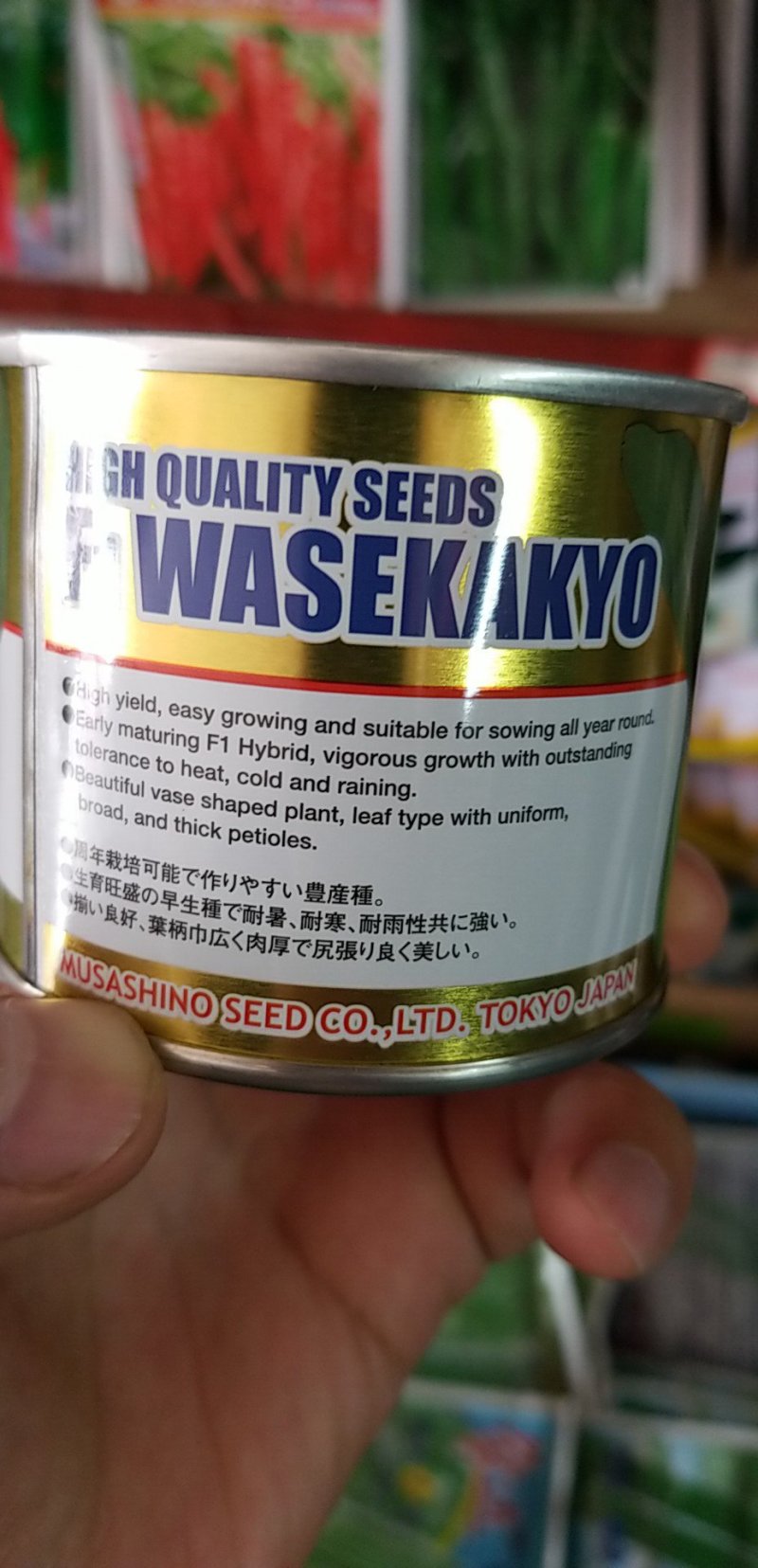 青梗菜种子牛商推荐量大从优