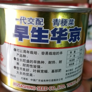 青梗菜种子牛商推荐量大从优