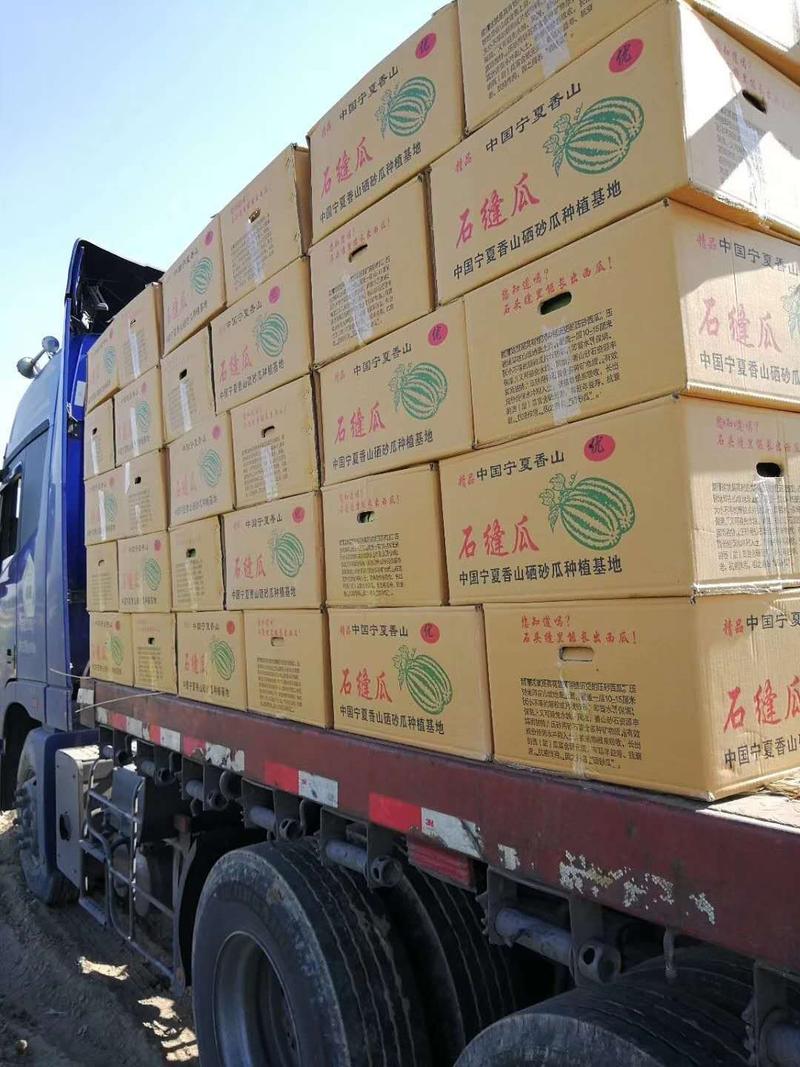 【实力】吐鲁番安农二号大小都有按需分拣打包有设备备货快交通利