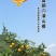 富硒橙一件代发37元5斤
