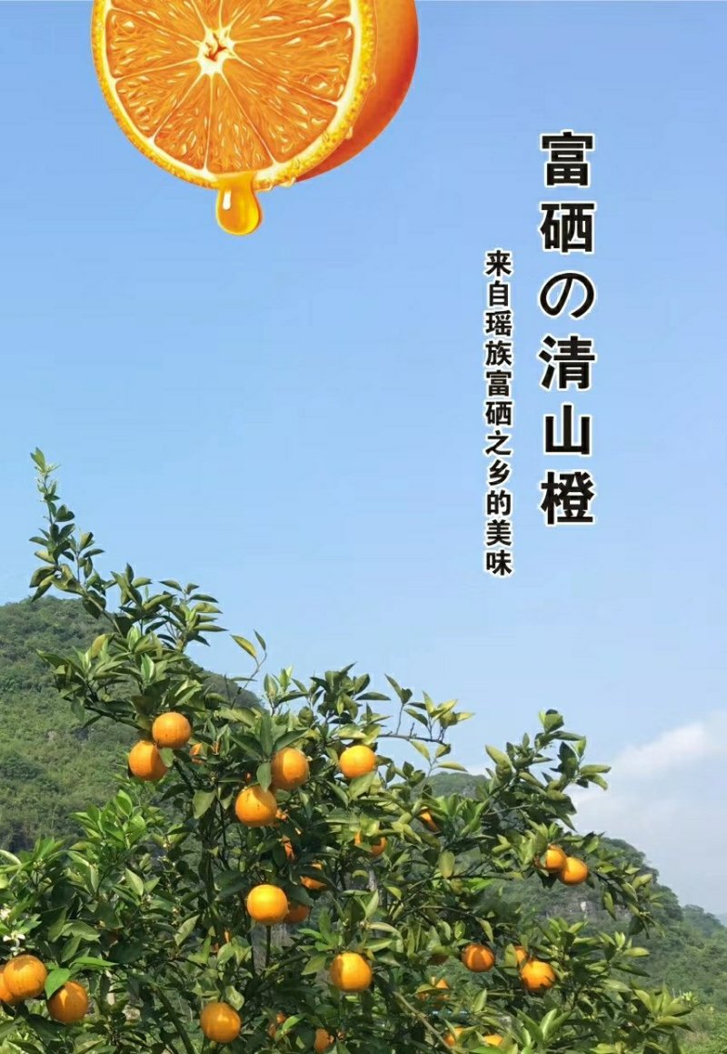 富硒橙一件代发37元5斤