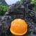富硒橙一件代发37元5斤