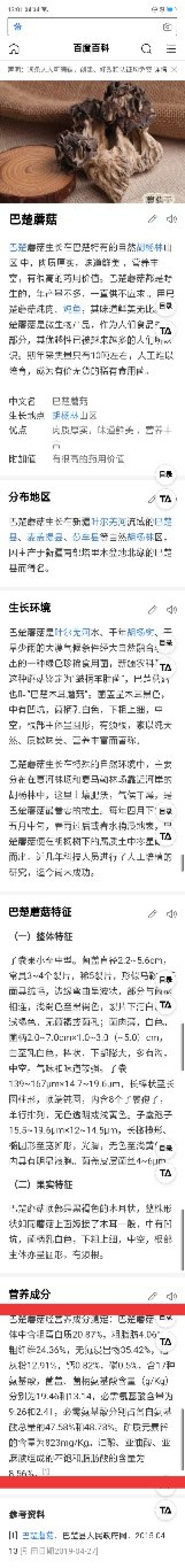 新疆胡杨林野生羊肚菌野生巴楚菇